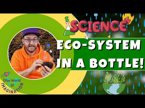 🌿 DIY Mini Ecosystem in a Bottle with J.J: Fun & Educational Kids' Activity!