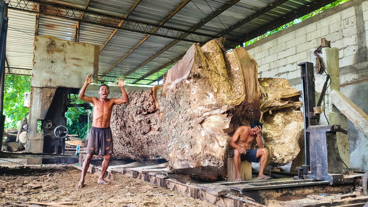 RARE PHENOMENON‼️of Large Wood with Natural Cavities Inside I sawmill 🌳