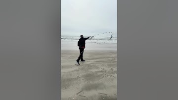 Easy way to learn how to throw a castnet #bait #fishing #castnet