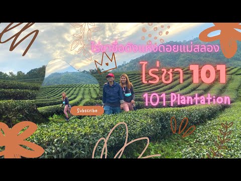 "ไร่ชา 101" ไร่ชาชื่อดังแห่งดอยแม่สลอง ชมแสง..สี..เสียง..หอนาฬิกาพุทธศิลป์(หอนาฬิกาอาจารย์เฉลิมชัย)