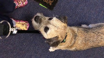 Recallers Advent Game Day 22