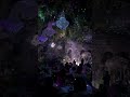 A Poetic Wedding 🕊️