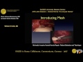 Minimally invasive ventral hernia repair