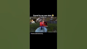 I get scared by my own Twitch alerts 😂 #gaming #twitch #funnymoments #dayz