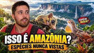 A Amazônia que ninguém conhece: montanhas, neblina e espécies novas
