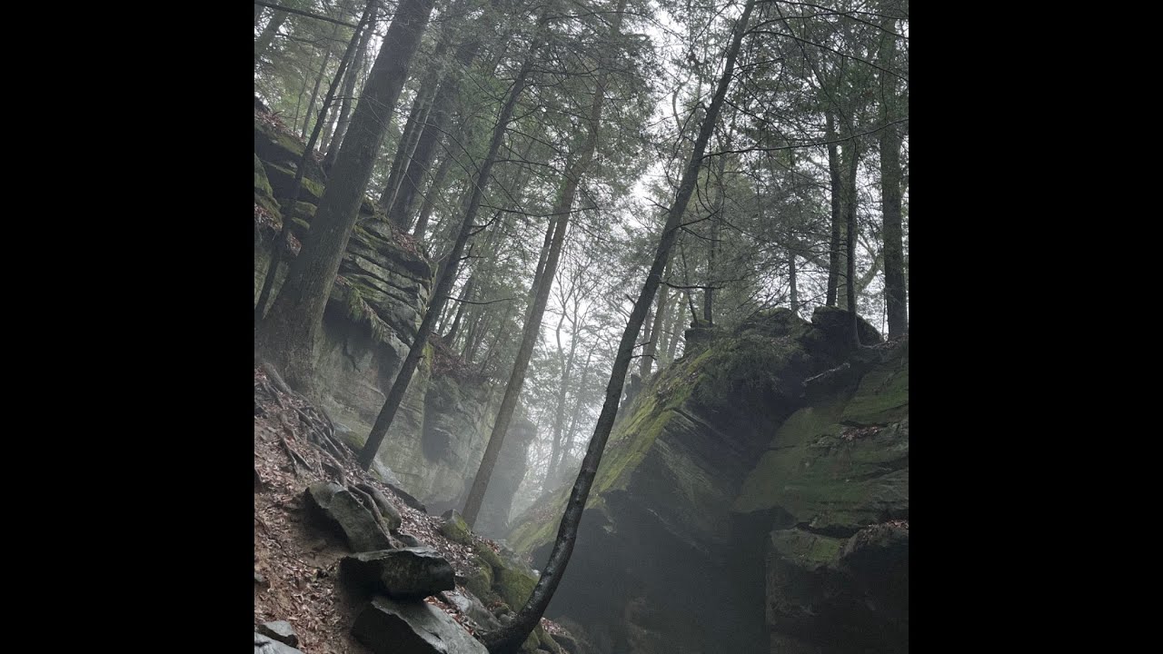 Ollie Moss - Ledges | Ledges - EP