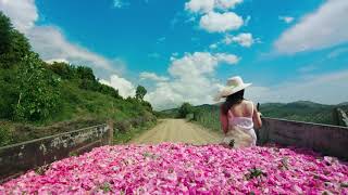 Gülsha Rosewater, Isparta