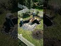 DIY Backyard Koi Pond Transformation 🌿🐟 (Satisfying Time-Lapse)