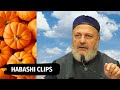  nabeel  how a pumpkin can lead to kufr