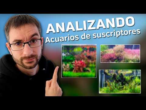 🕵️ Acuarios de Suscriptores Nº70: Casi Perfectos… Pero este Fallo es Crítico