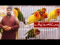 Birds new cage price  cheap cages  cheap rate cages in pakistan