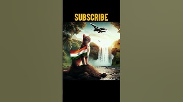 INDIA 🫡🇮🇳| Animated video #shorts #viralshorts #animation