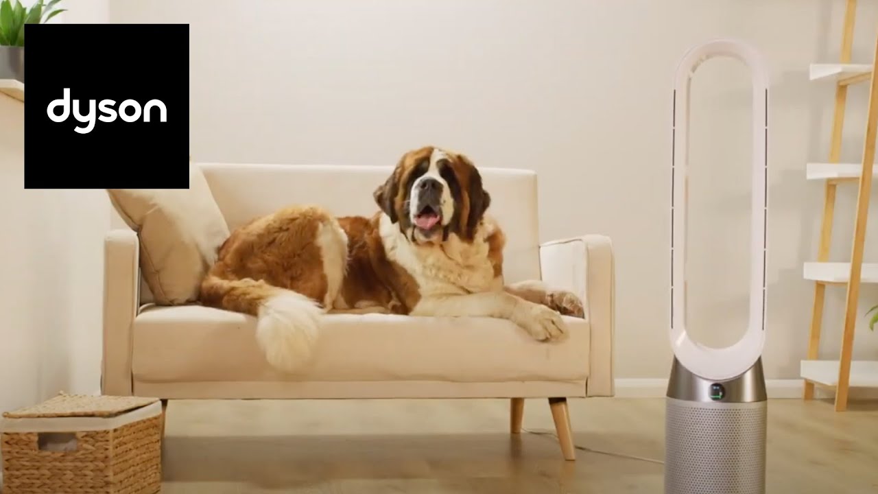 Жарко? Технология Dyson's Air Multiplier™ поставит вас на ноги.