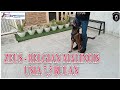 LATIHAN ZEUS - BELGIAN MALINOIS | USIA 7,5 BULAN