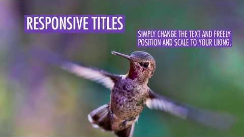 Free Minimal Social Media Titles After Effects Template