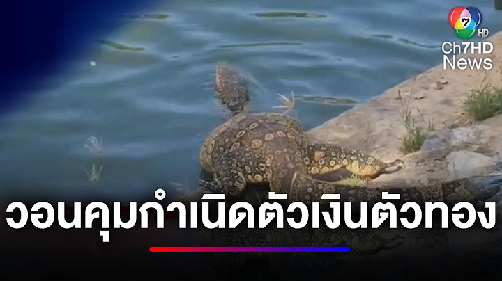 เต็มตลาด ! ตัวเงินตัวทอง แม่ค้าวอนคุมกำเนิด | ข่าวเด็ด 7 สี