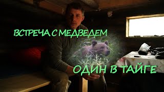 видео: ВСТРЕЧА С МЕДВЕДЕМ. НАШЕЛ РОГ ЛОСЯ. ПОХОД. РЫБАЛКА НА ХАРИУСА. картинка: ВСТРЕЧА С МЕДВЕДЕМ. НАШЕЛ РОГ ЛОСЯ. ПОХОД. РЫБАЛКА НА ХАРИУСА.