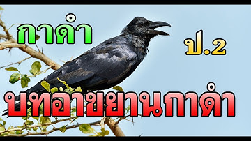 บทอาขยานกาดำ | การอ่านทำนองเสนาะ | กาดำ