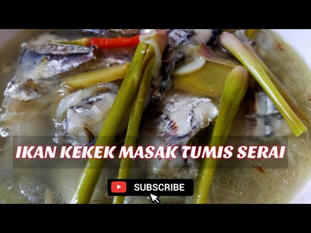 Ikan Kekek Masak Tumis Serai Youtube