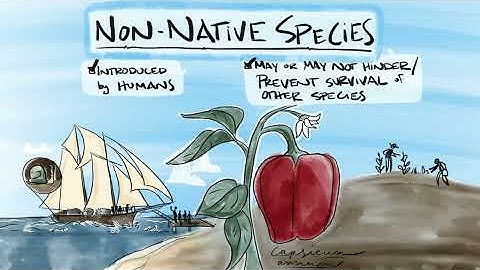 What Are Invasive Species?
