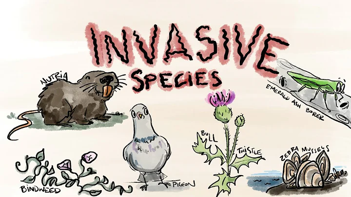 What Are Invasive Species? - DayDayNews