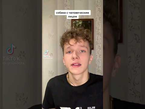 собака с ЧЕЛОВЕЧЕСКИМ ЛИЦОМ!(видео не мое, а из тт) #мем #реки #shorts #рекомендации #шортс