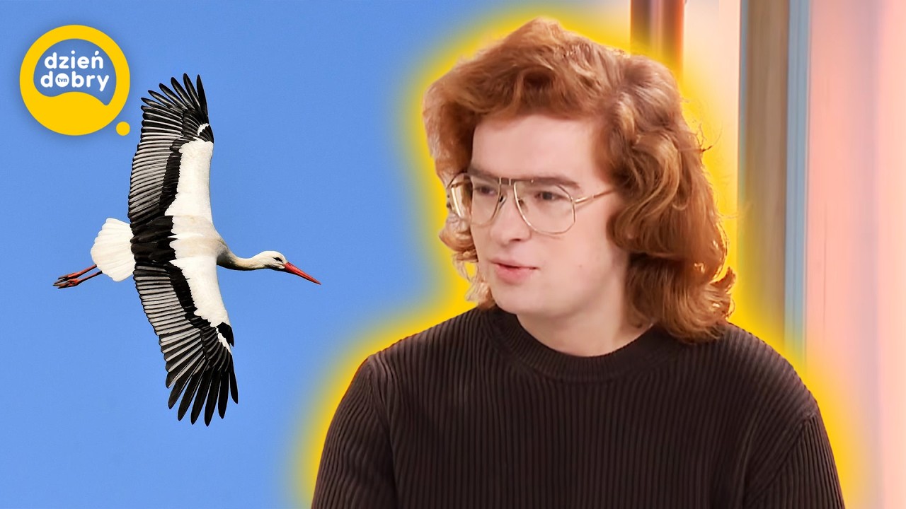 Dlaczego bociany wracają do Polski wcześniej? Eksperci nie mają złudzeń | DDTVN