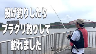 【初心者釣り】投げ釣りしたりブラクリ釣りして釣れました！ひたちなか市・那珂川河口海門町ふれあい公園