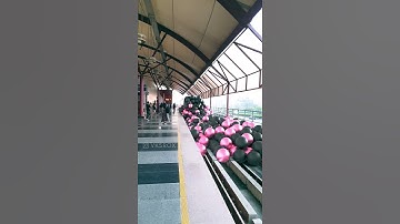 Fun with Maya dynamics 😬