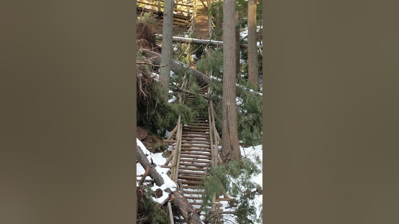 Jacob's Ladder Victoria Park March 2023 YouTube