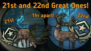 I Got My 21st and 22nd Great One Just 1 hour apart From Each Other!|theHunter COTW