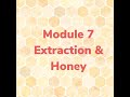 Module 7 extraction and honey