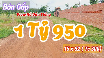 Đất Dầu Tiếng | Bán nhanh lô đất View Hồ Dầu Tiếng 15 x 82 ( Tc 300) Giá ngộp#564