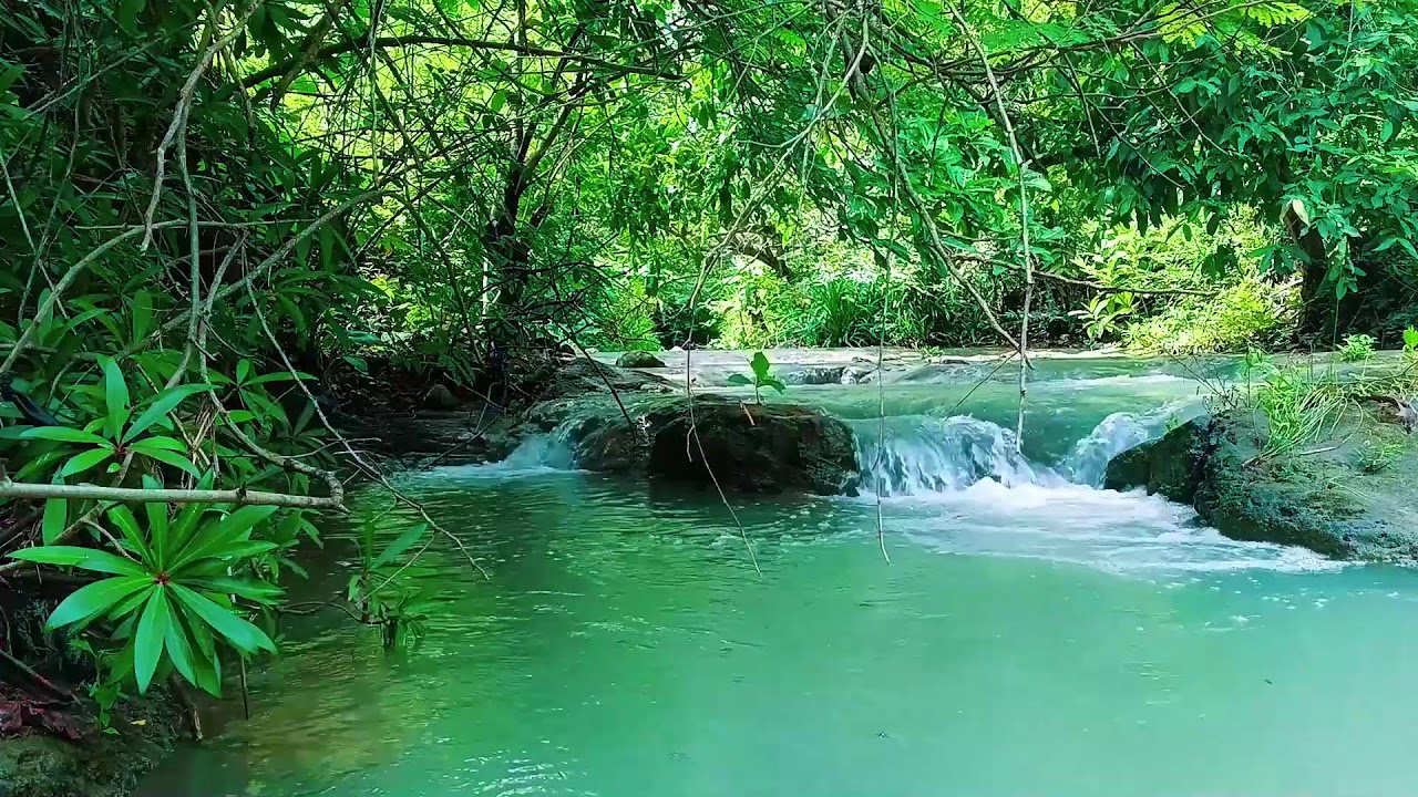 Waterfall Sounds for Sleeping with No Ads or Interruptions