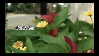 DJ KISINAN X AKU IKHLAS X DUMES GONX STAR