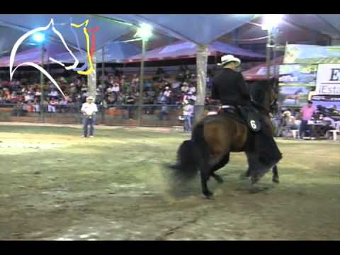 Trocha y Galope - Bucefalo de Vuelta Grande, II Copa Antioquia