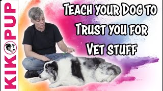 Train your dog for the vet - TIPS - Professional Dog Training by Dog Training by Kikopup 6,495 views 1 year ago 12 minutes, 19 seconds