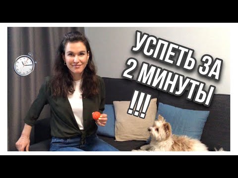 ВСЕ МИНУСЫ ЙОРКШИРСКИХ ТЕРЬЕРОВ ЗА 2 МИНУТЫ! - какие минусы у Йорков?😱