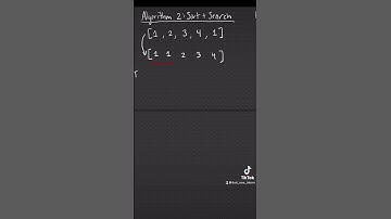 LeetCode Coding Challenge: Contains Duplicate Solution 2