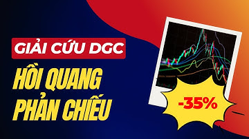 Phân Tích Cổ Phiếu DGC: Hồi Quang Phản Chiếu Và Chiến Lược Xử Lý