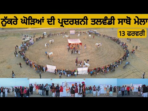 ਨੁੱਕਰੇ ਘੋੜਿਆਂ ਦੀ ਪ੍ਰਦਰਸ਼ਨੀ • 13 ਫਰਵਰੀ • ਘੋੜਿਆਂ ਦਾ ਮੇਲਾ ਤਲਵੰਡੀ ਸਾਬੋ HORSE MELA TALWANDI SABO