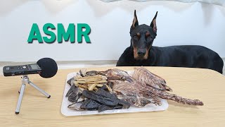 Doberman Dog Eating Sound ASMR