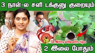 என்ன கற்பூரவள்ளியில் இவ்வளவு பயன்கள் உள்ளதா?Karpooravalli Health Benefits & Home Remedies dr.nithya