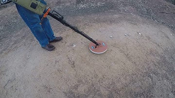 SDC 2300/CT 11" COIL