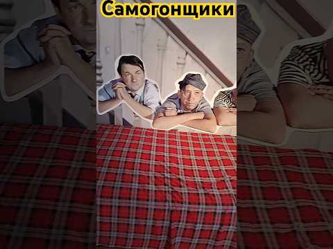 Трус, Балбес, Бывалый - герои кино #тренды #кино #актеры #самогон #гайдай #вицин #никулин #музей
