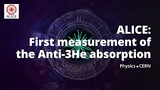 The first measurement of the Anti-3He absorption in matter