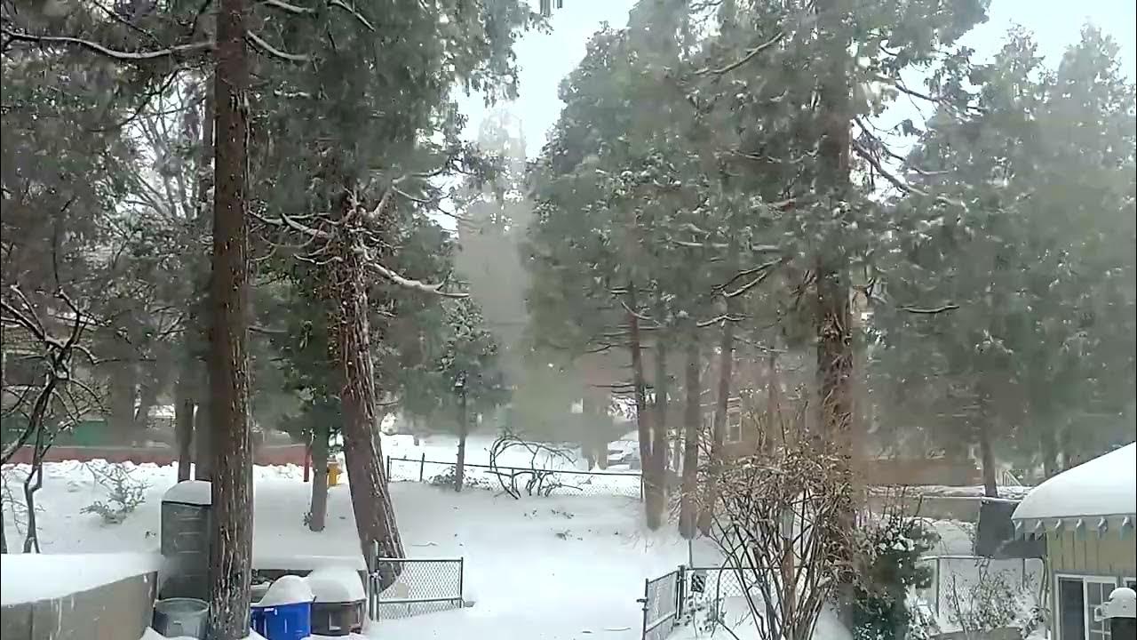 Watch 10 tons of snow fall in 2 minutes The Blizzard of 2023