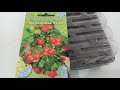 Комнатный перчик| Балконное чудо(томат)| Посев семян