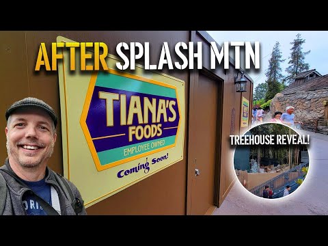 Splash Mountain the day after + REVEAL at Treehouse! | Disneyland Construction 06-06-2023