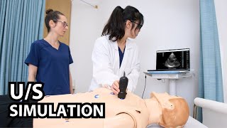 How to Use SonoSim LiveScan®